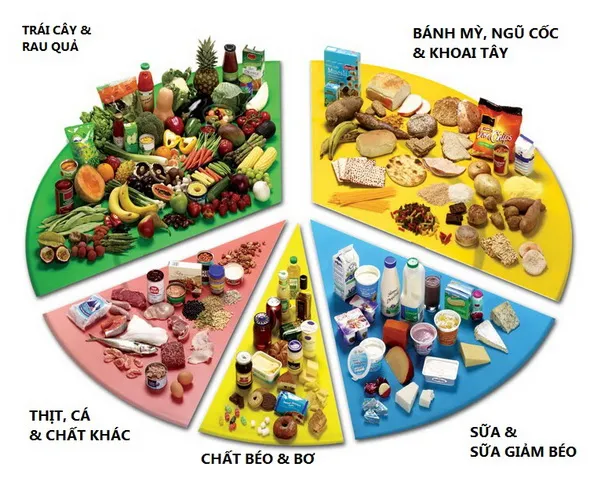 Nguyên Tắc Cơ Bản Của Chế Độ Ăn Cho Người Tiểu Đường Tuýp 1