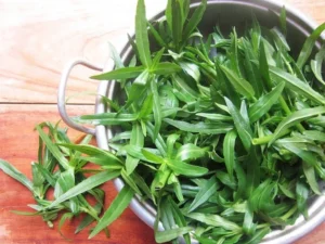 rau ngổ trị tiểu đường​